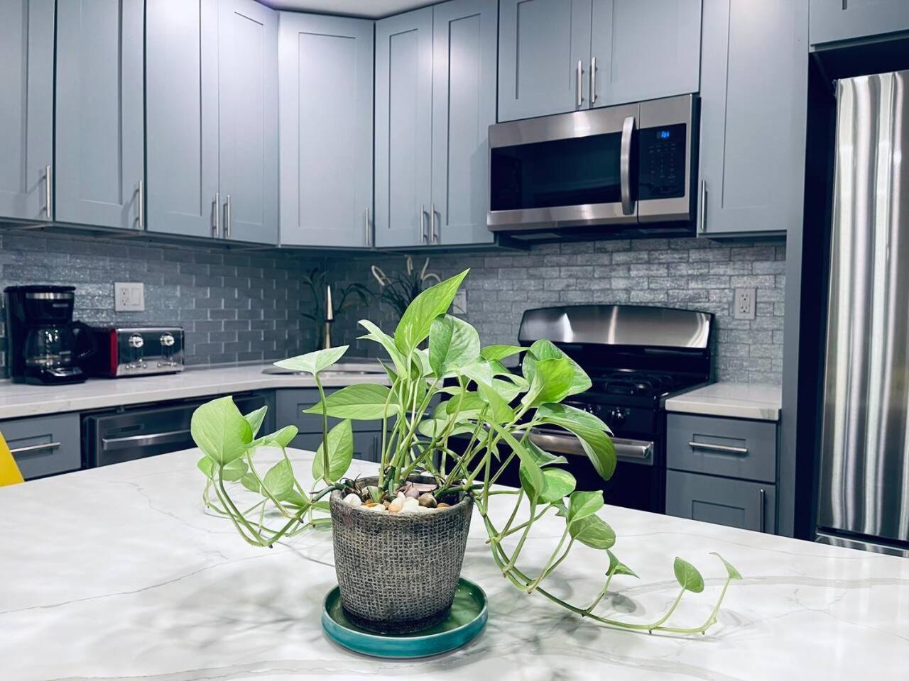 Magic Gardens 2bd In Center Apartment Philadelphia